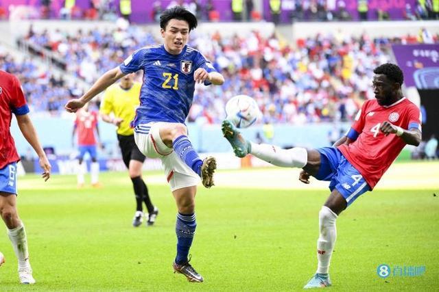 适应能力是 适应能力是