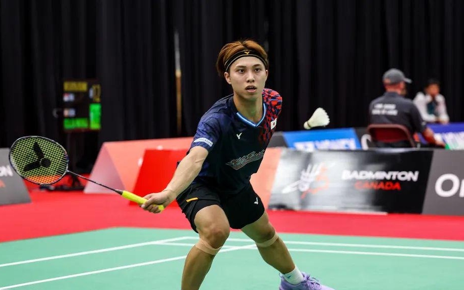 教练组应当 教练组应当